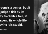 Everyone's a genius, but if you judge a fish by its ability to climb a tree, it will spend its whole life believing it is stupid. - Albert Einstein