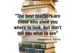 the best teachers are those who show you where to look but don't tell you what to see - Alexandra K Trenfor