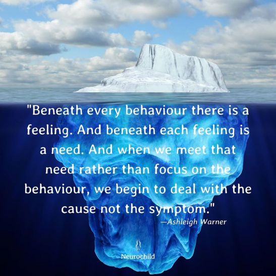 Beneath every behaviour there is a feeling. - Ashleigh Warner